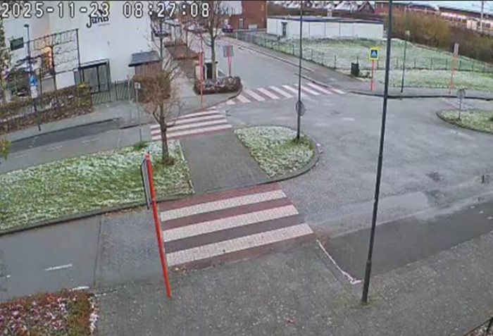 Voorbeeld van camerabeeld